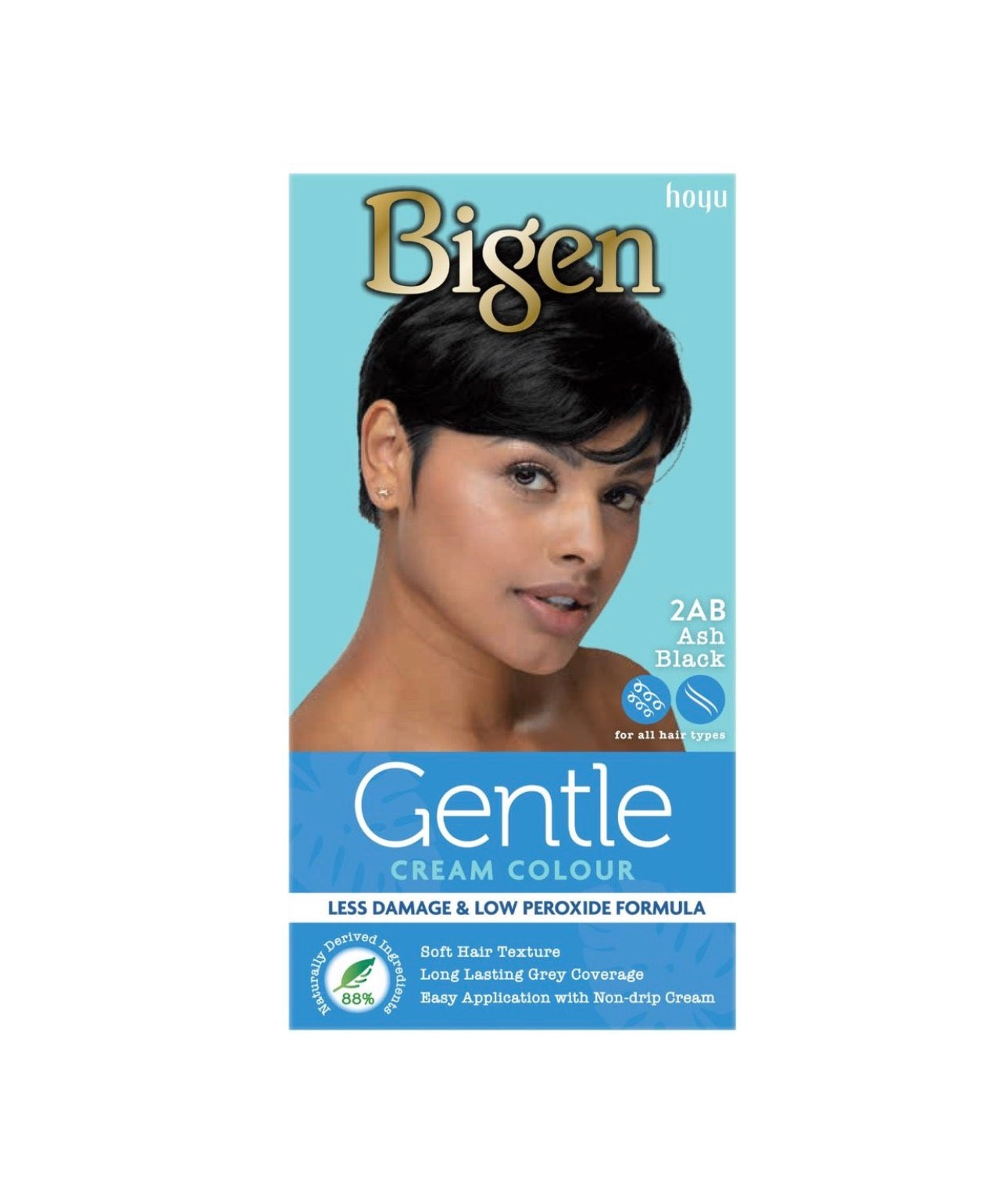 Bigen Gentle Cream Colour 2AB Ash Black